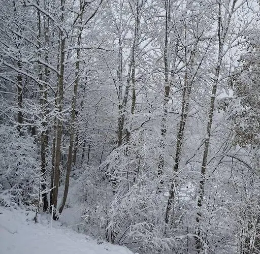 Calme Animaux Admis Apartmán *